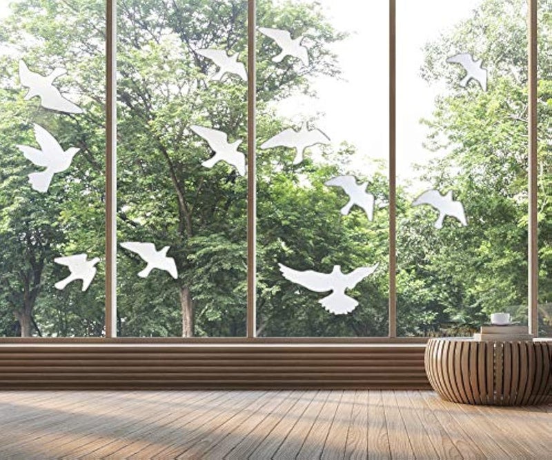 MESINURS Anti-Collision Window Bird Stickers Decals Glass Door Protect and Save Bird Strikes (Clear) - Image 1